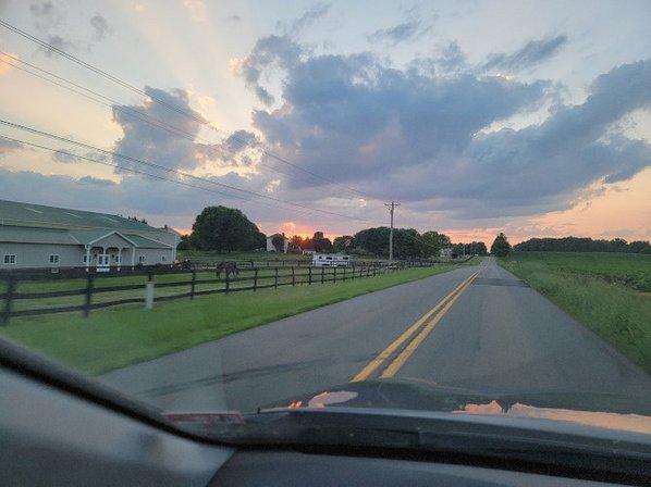 Fox Trot Farm