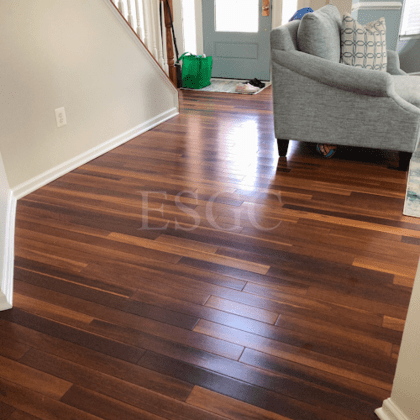 Eastern Shore Green Clean LLC