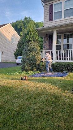 David & Son Landscaping