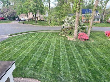 TruGreen Lawn Care