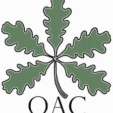 Northern Virginia Older Adult Counseling