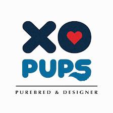 XO PUPS