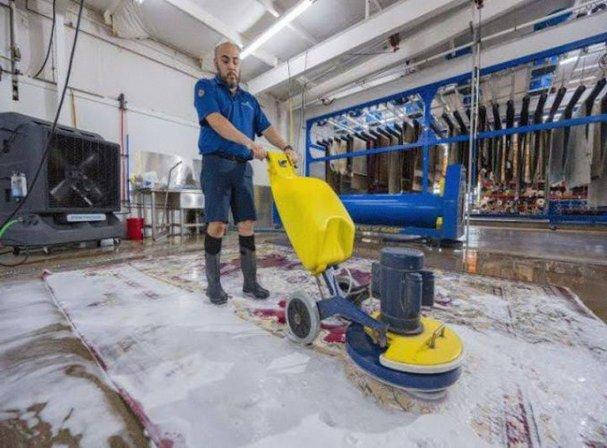 Heaven's Best Carpet Cleaning Leesburg VA