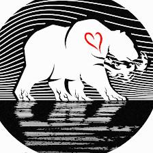 Bear Soul Wellness