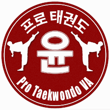 Pro Taekwondo VA