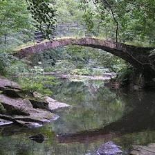 Bridge to Wellness Centers, LLC