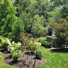 Dogwood Creek Landscapes Inc.