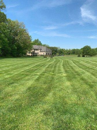 K-9 Lawn Services