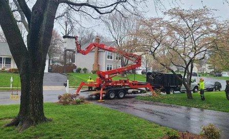 Donegan's Tree Service, Inc