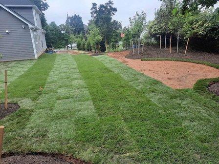 Cortez Landscaping services