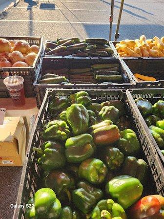 Dodsons produce manassas