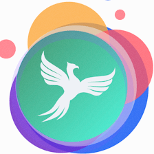 ANKA MEDICAL - DMI Therapy and Pediatric Occupational Therapy Services