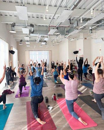 Yoga Shala