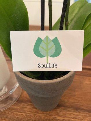 SoulLife