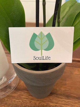 SoulLife