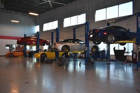Loudoun County Exotics