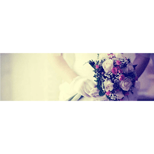 Seven Ivory Brides Wedding & Event Planning