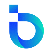 Bridger Digital Solutions