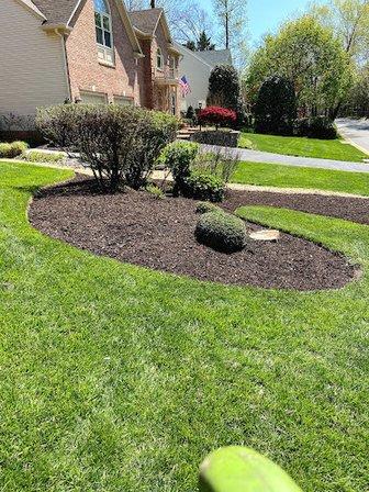 Sergio Escobar Lawn care and Landscaping