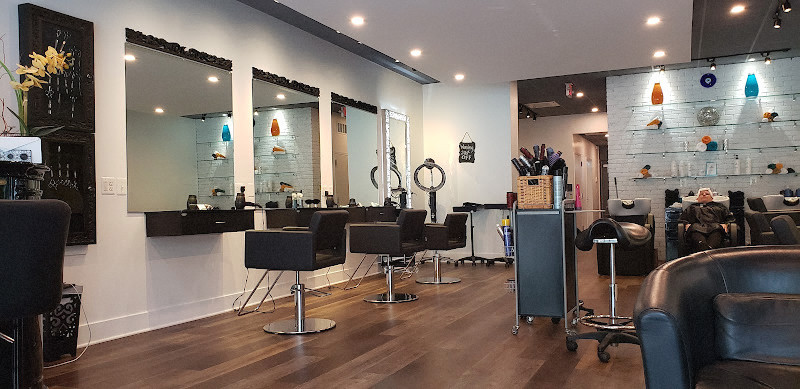 Kess Hair & Skincare