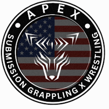 Apex Jiu Jitsu and MMA: Ashburn