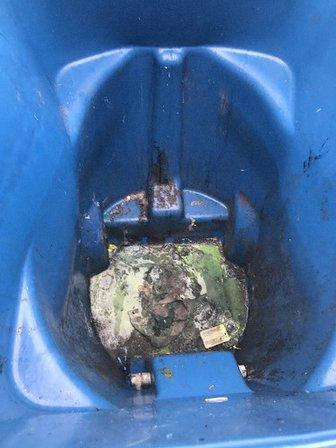 Remarkably Clean Bins