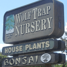 Wolf Trap Nursery