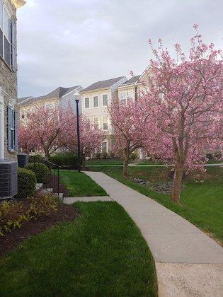 Parkside at Ashburn