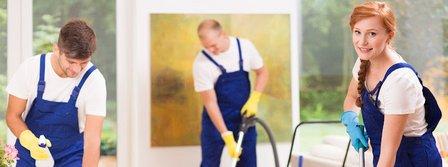 Urban Clean Professionals