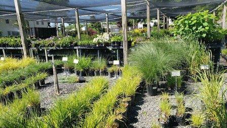 SiteOne Landscape Supply
