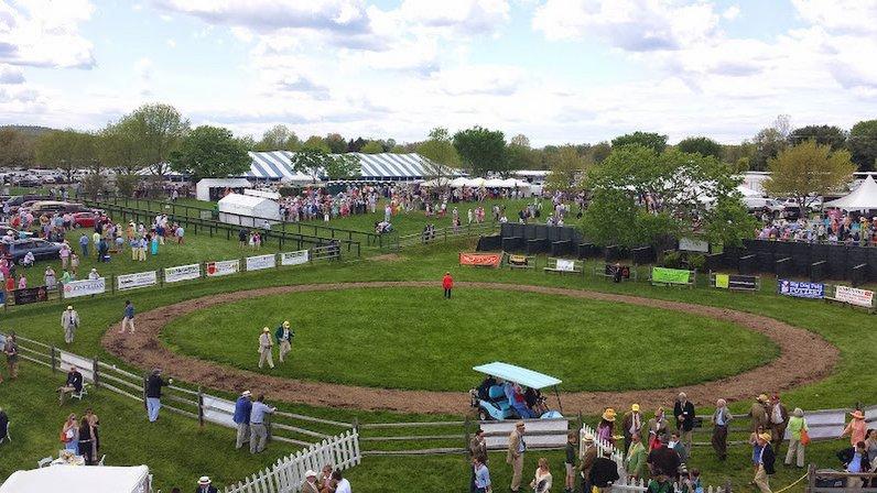 Virginia Gold Cup Association, Inc