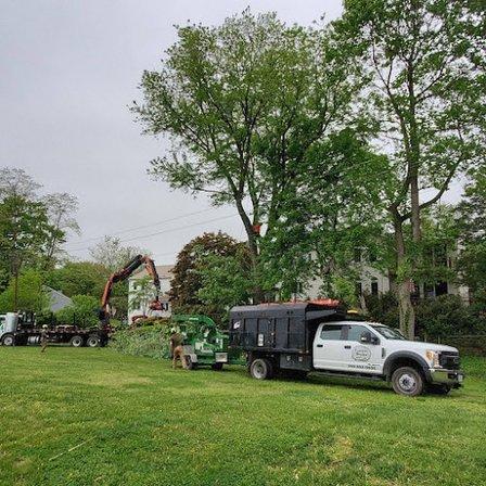 Timber Works Tree Care