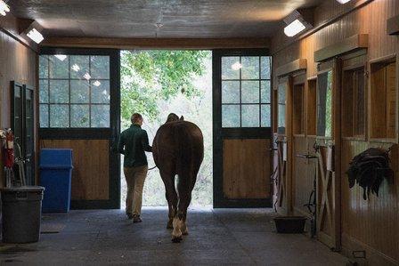 Virginia Equine Imaging