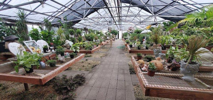 Wolf Trap Nursery