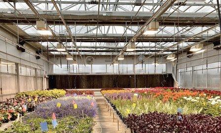 NOVA Horticulture Program Greenhouse