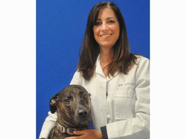 Caring Hands Animal Hospital - Ashburn