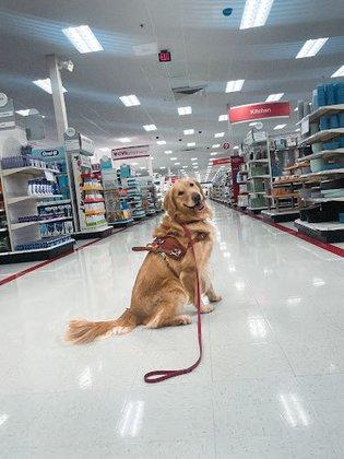 Helping Howls NOVA
