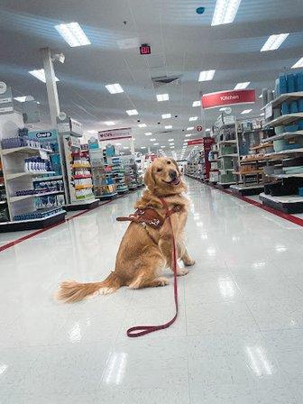 Helping Howls NOVA