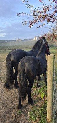 Rancho San Antonio