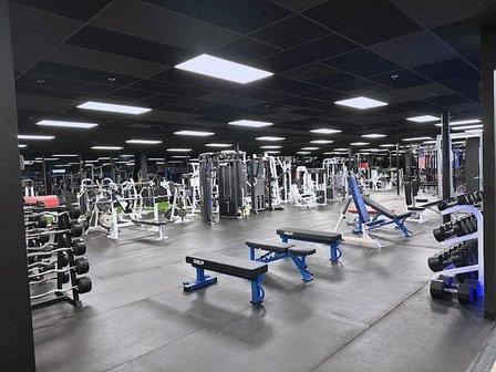 Volition Performance and Physical Therapy