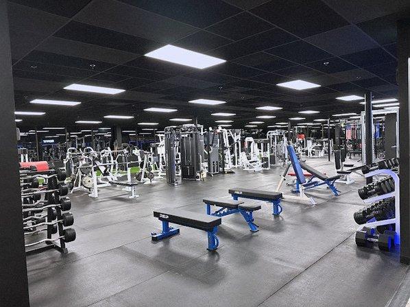 Volition Performance and Physical Therapy
