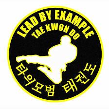 Lead By Example Tae Kwon Do, After School Program & Camps GREAT FALLS