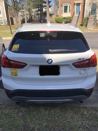 Coyote Auto Detailing