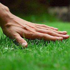 Rivera Brothers Landscaping