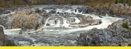 Weichert, Realtors