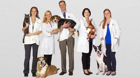 VCA Centreville Animal Hospital