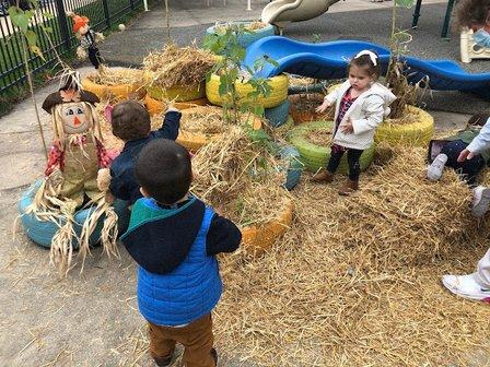 Reggio's Treehouse