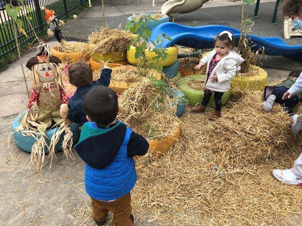 Reggio's Treehouse