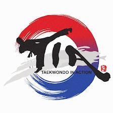 Taekwondo In Action - Centreville