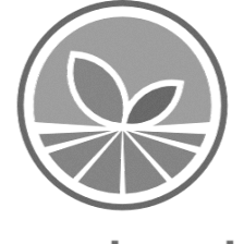 Segovia Contractor LLC